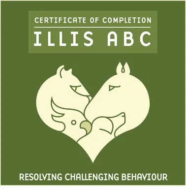 Monika Budrikaitė, pažymėjimas: Resolving Challenging Behaviour (ILLIS ABC · dr. Karolina Westlund)